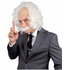  Perruque Einstein homme, fig. 1 